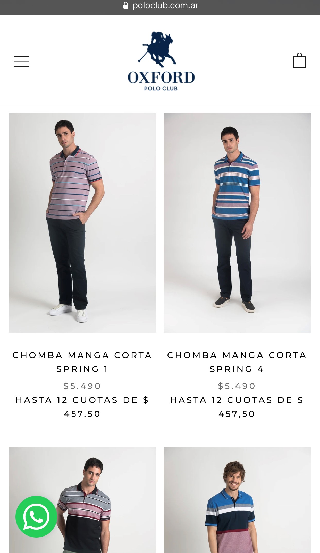 Polo Web Page screenshot